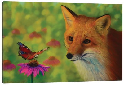 Fox And Butterfly Canvas Art Print - Monarch Metamorphosis