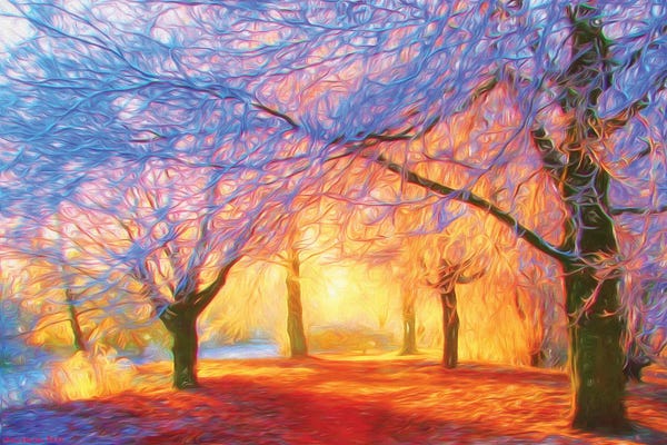 Veikko Suikkanen: The Morning Light by Veikko Suikkanen