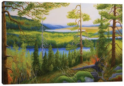 Arctic Wilderness Canvas Art Print - Veikko Suikkanen
