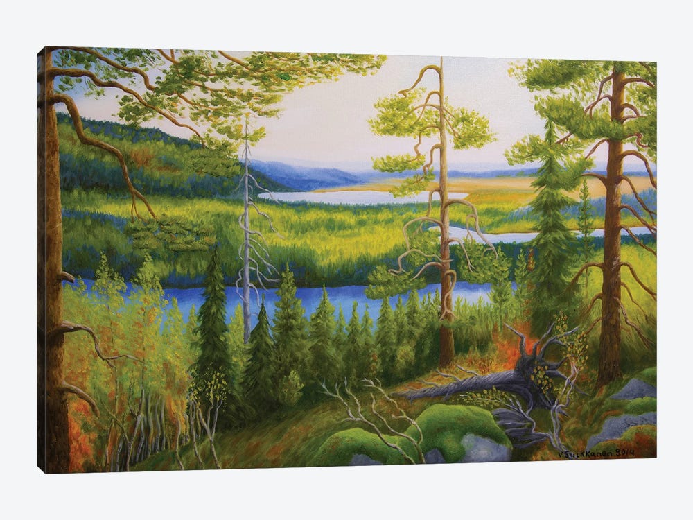 Arctic Wilderness by Veikko Suikkanen 1-piece Canvas Wall Art