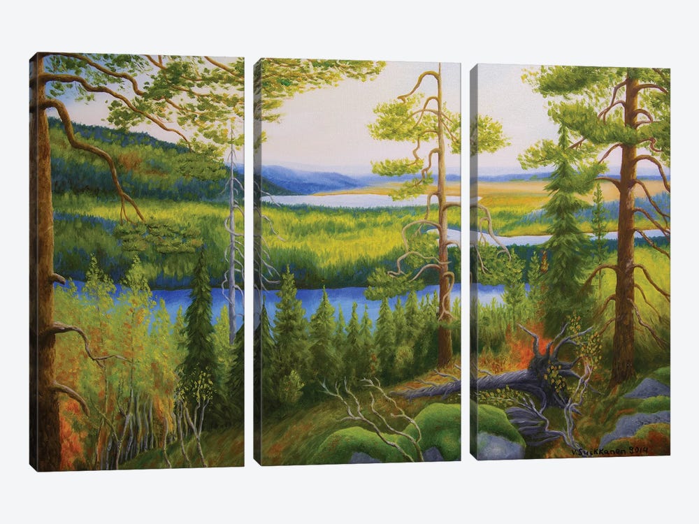 Arctic Wilderness by Veikko Suikkanen 3-piece Canvas Artwork