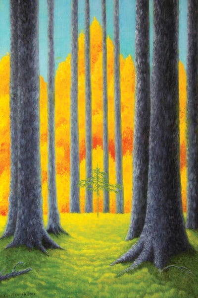 Cathedral by Veikko Suikkanen canvas print