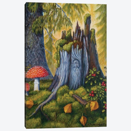 Spirit Of The Forest Canvas Print #VKK10} by Veikko Suikkanen Canvas Wall Art