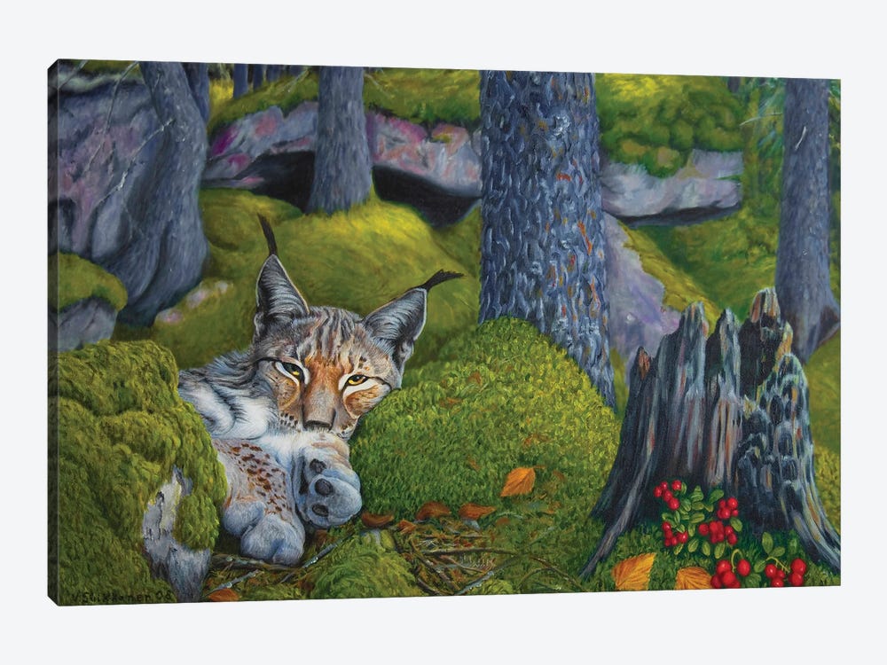 Lynx In The Sun by Veikko Suikkanen 1-piece Art Print