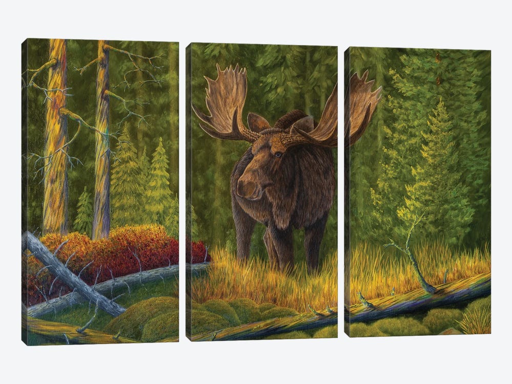 The King Of The Forest by Veikko Suikkanen 3-piece Canvas Art