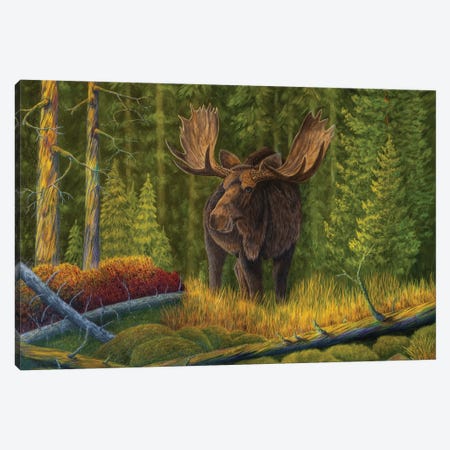 The King Of The Forest Canvas Print #VKK12} by Veikko Suikkanen Canvas Art