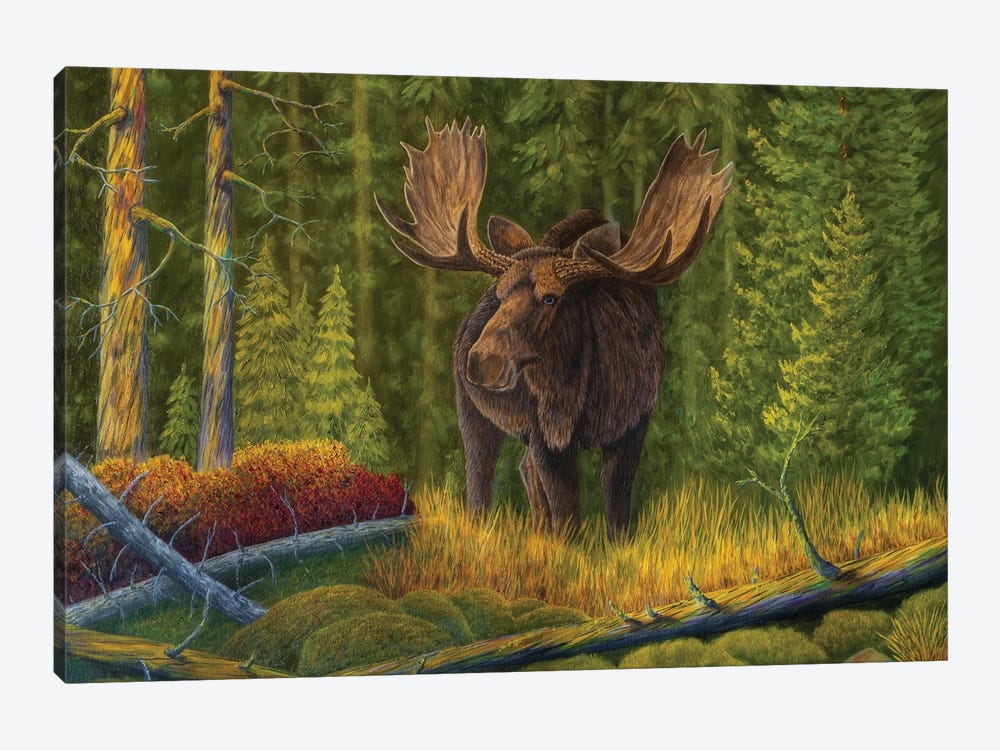 The King Of The Forest by Veikko Suikkanen 1-piece Canvas Art