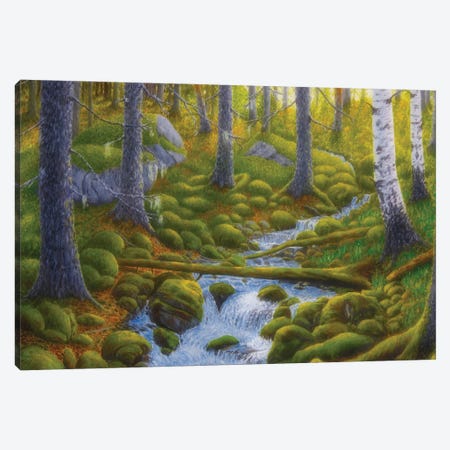 Spring Creek Canvas Print #VKK13} by Veikko Suikkanen Canvas Art