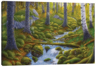 Spring Creek Canvas Art Print - Veikko Suikkanen