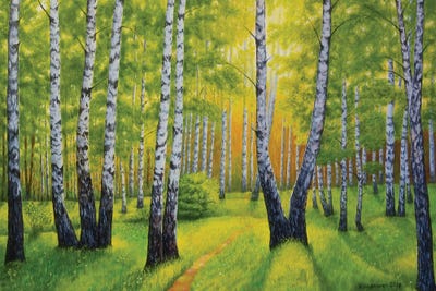 Summer In Birch Forest by Veikko Suikkanen art print