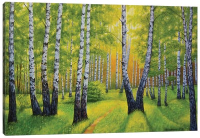 Summer In Birch Forest Canvas Art Print - Veikko Suikkanen