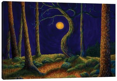 Moonlight II Canvas Art Print - Veikko Suikkanen