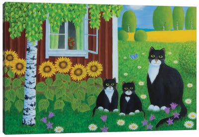 Summer Canvas Art Print - Tuxedo Cat Art