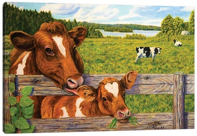 Summer Pasture Canvas Art Print - Veikko Suikkanen