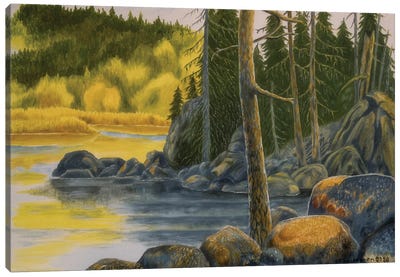 Wilderness I Canvas Art Print - Veikko Suikkanen