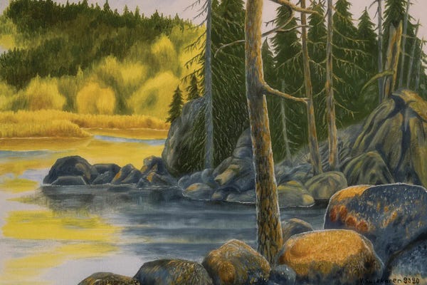 Veikko Suikkanen: Wilderness I by Veikko Suikkanen
