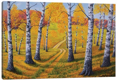 Autumn Pathway Canvas Art Print - Veikko Suikkanen