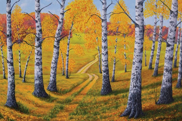 Birch Trees: Autumn Pathway by Veikko Suikkanen