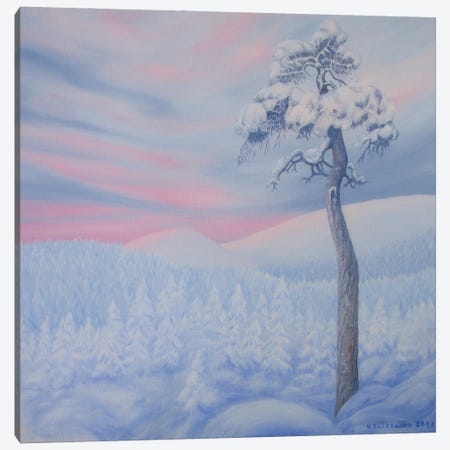 Snowy Landscape Canvas Print #VKK24} by Veikko Suikkanen Canvas Art