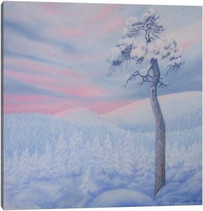 Snowy Landscape Canvas Art Print - Veikko Suikkanen
