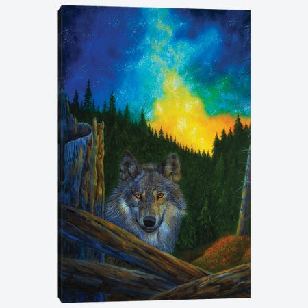 Wolf Canvas Print #VKK25} by Veikko Suikkanen Canvas Art