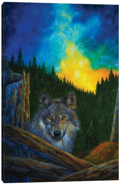 Wolf Canvas Art Print - Veikko Suikkanen