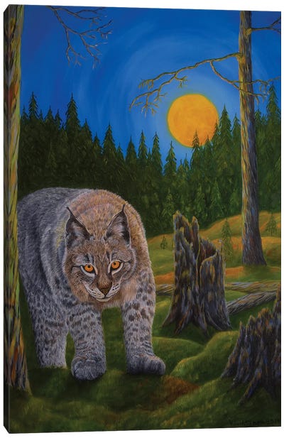 Lynx Canvas Art Print - Lynx Art