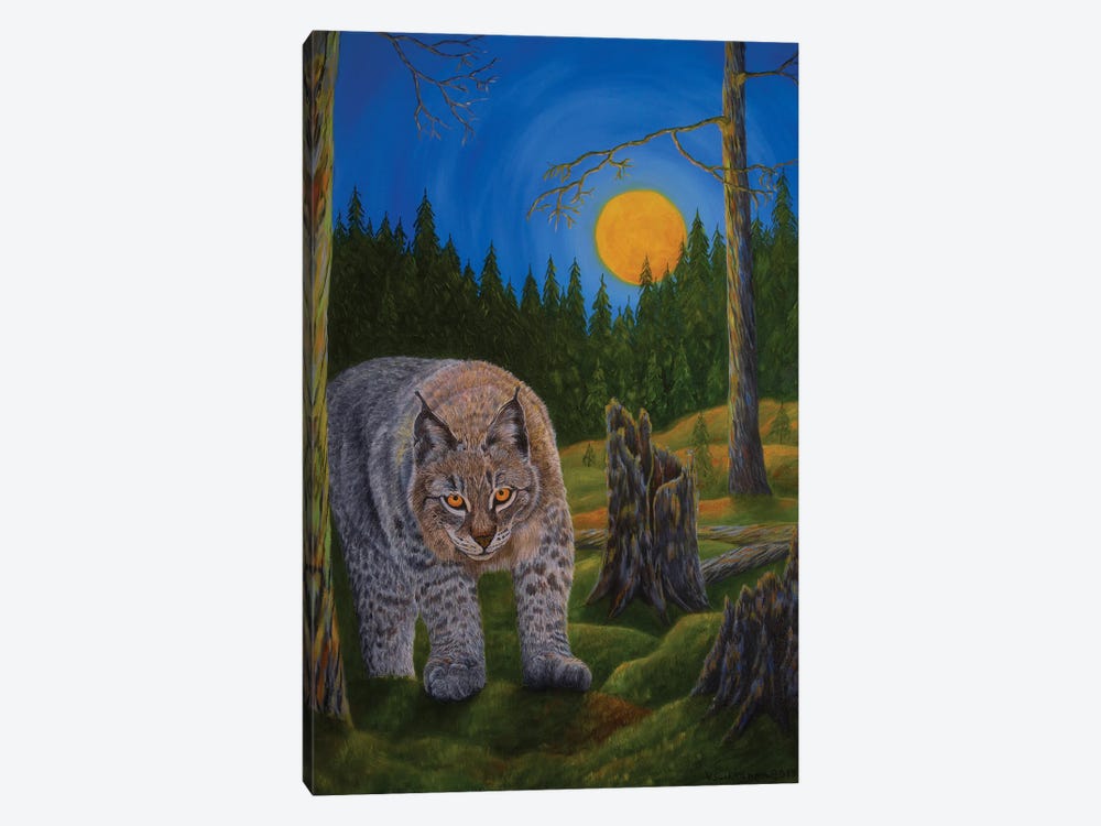 Lynx by Veikko Suikkanen 1-piece Canvas Art Print