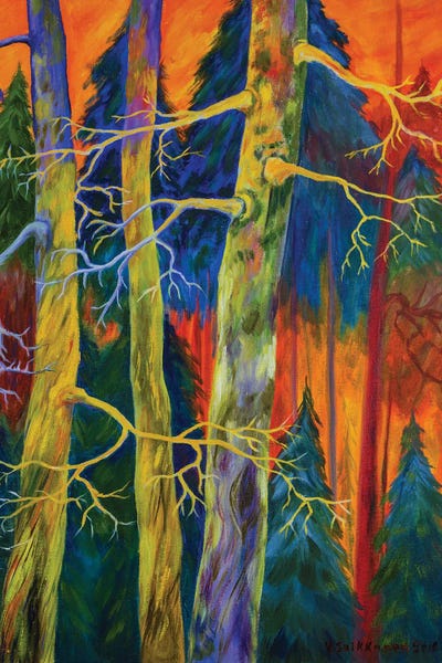 A Magical Forest by Veikko Suikkanen framed wall art