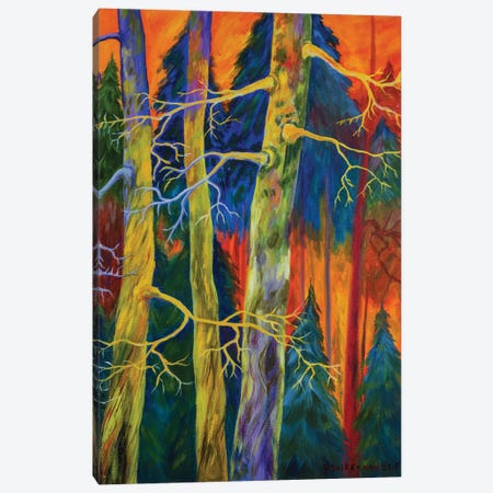 A Magical Forest Canvas Print #VKK28} by Veikko Suikkanen Art Print