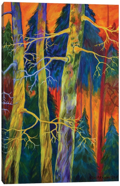 A Magical Forest Canvas Art Print - Veikko Suikkanen