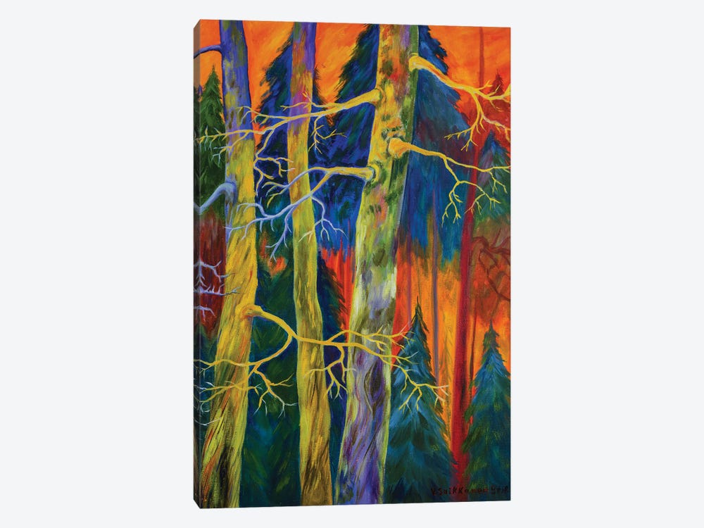A Magical Forest by Veikko Suikkanen 1-piece Canvas Art Print