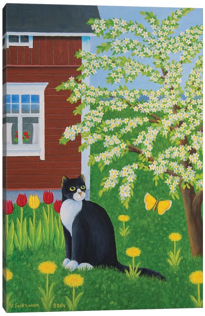 Spring I Canvas Art Print - Tuxedo Cat Art