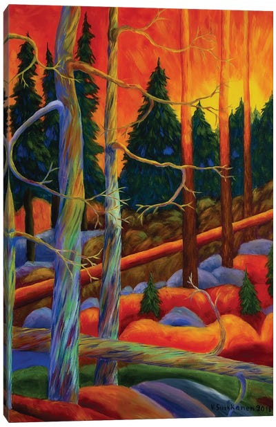 A Magical Forest II Canvas Art Print - Veikko Suikkanen