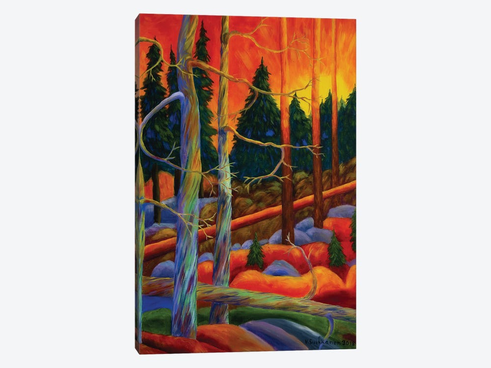 A Magical Forest II by Veikko Suikkanen 1-piece Canvas Artwork