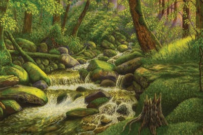 Brook In The Forest by Veikko Suikkanen canvas print