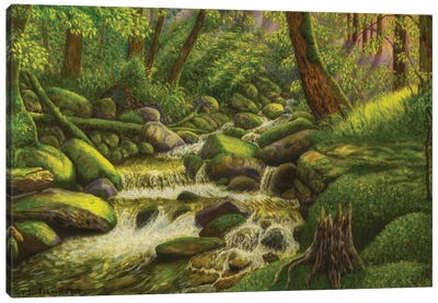 Brook In The Forest Canvas Art Print - Veikko Suikkanen