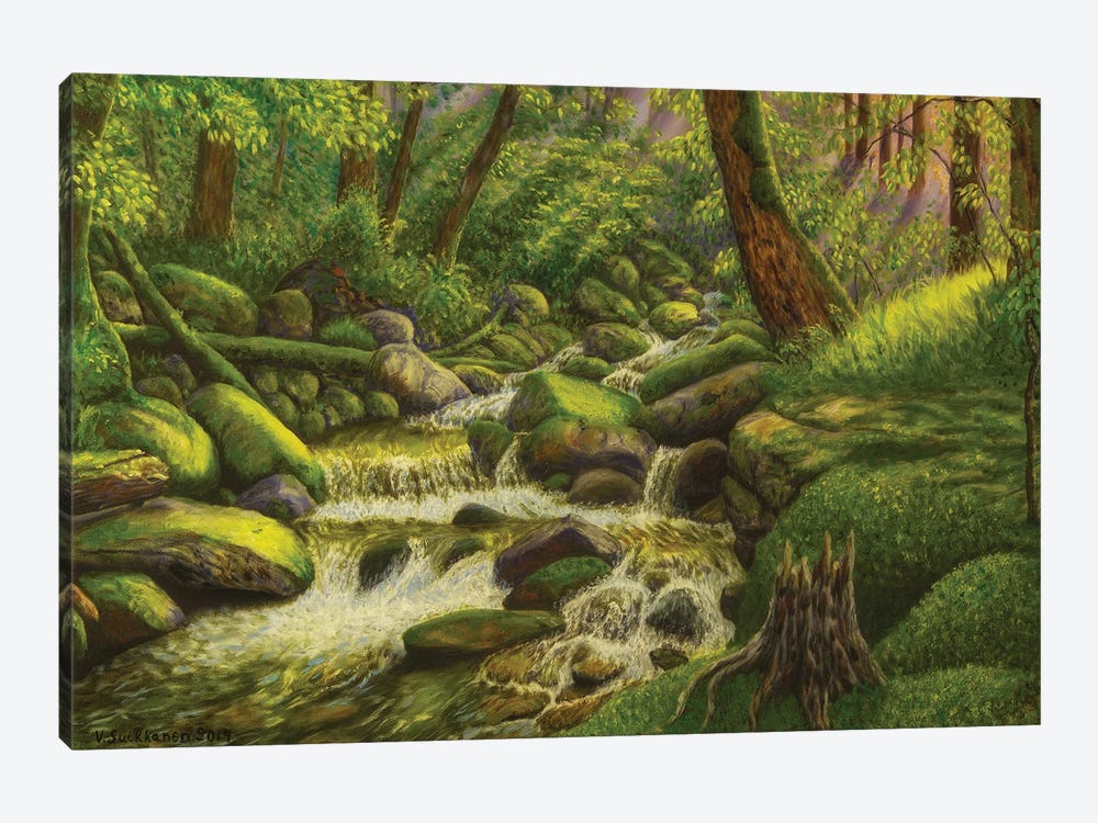 Brook In The Forest by Veikko Suikkanen 1-piece Canvas Artwork