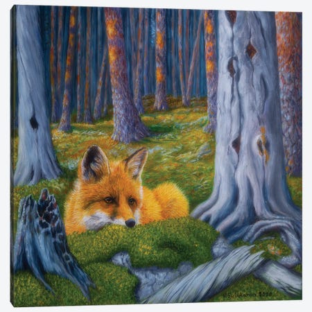 The Fox Is Watching Canvas Print #VKK35} by Veikko Suikkanen Canvas Art Print