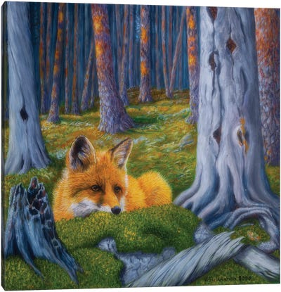 The Fox Is Watching Canvas Art Print - Veikko Suikkanen