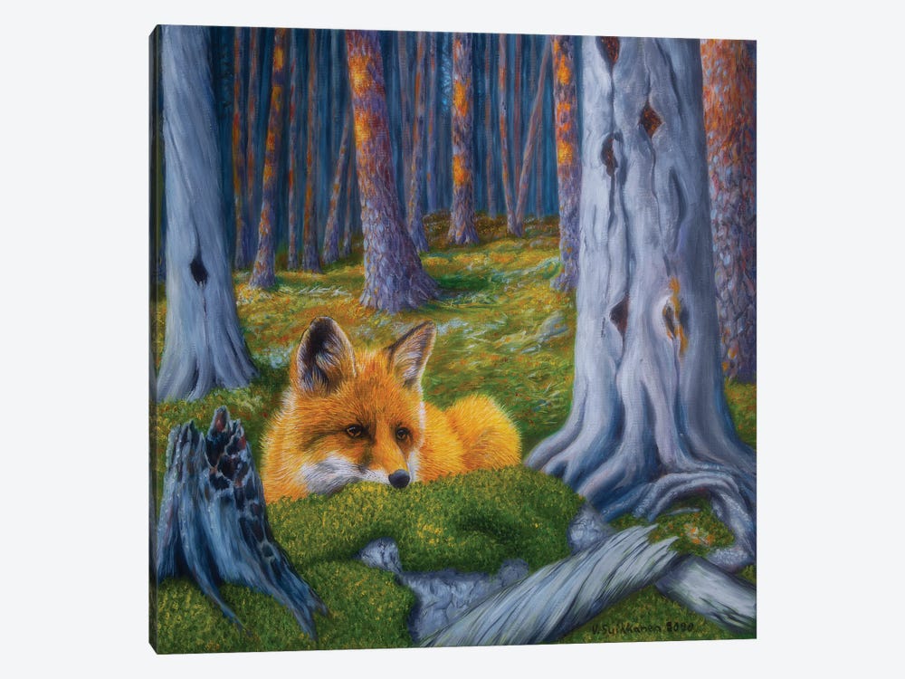 The Fox Is Watching by Veikko Suikkanen 1-piece Canvas Print