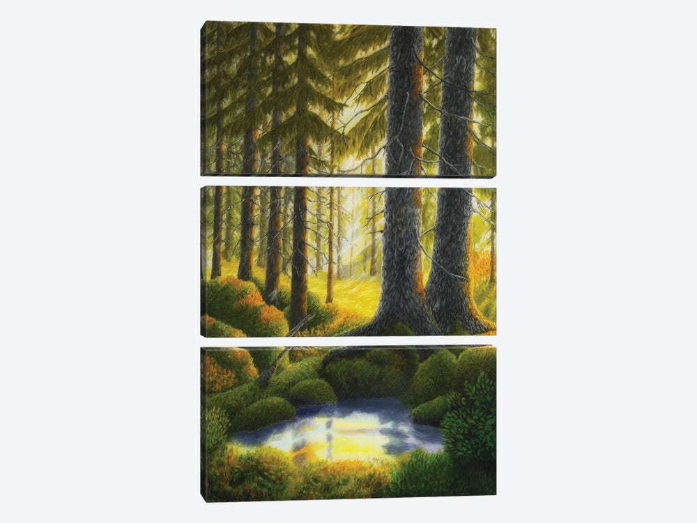 Two Old Spruce by Veikko Suikkanen 3-piece Canvas Art
