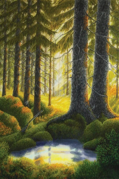 Cabin & Lodge Décor: Two Old Spruce by Veikko Suikkanen