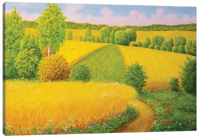 On August Grain Fields Canvas Art Print - Veikko Suikkanen