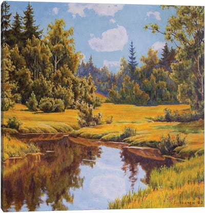 Quiet River Canvas Art Print - Veikko Suikkanen