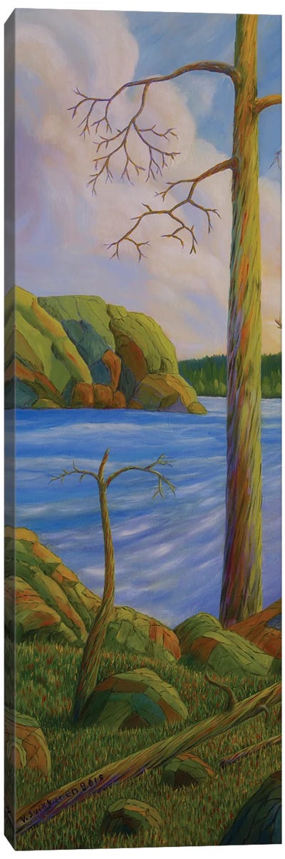 Wilderness Lake II Canvas Art Print - Veikko Suikkanen