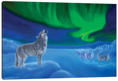Northern Lights Night Canvas Art Print - Aurora Borealis Art