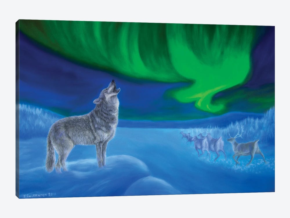 Northern Lights Night by Veikko Suikkanen 1-piece Canvas Artwork