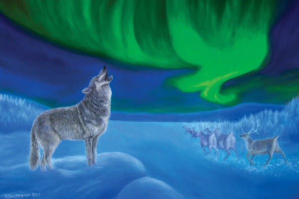 Aurora Borealis: Northern Lights Night by Veikko Suikkanen