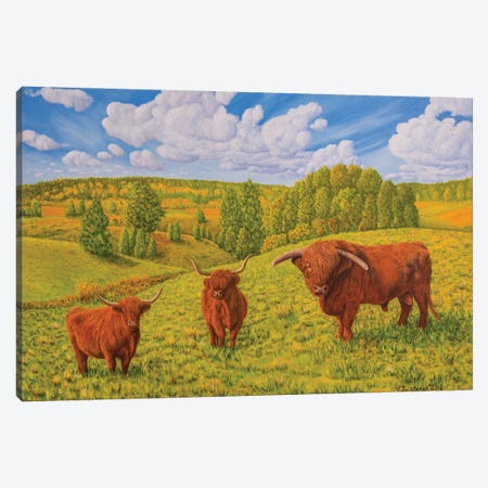 Highland Cattle Pasture Canvas Print #VKK49} by Veikko Suikkanen Canvas Print